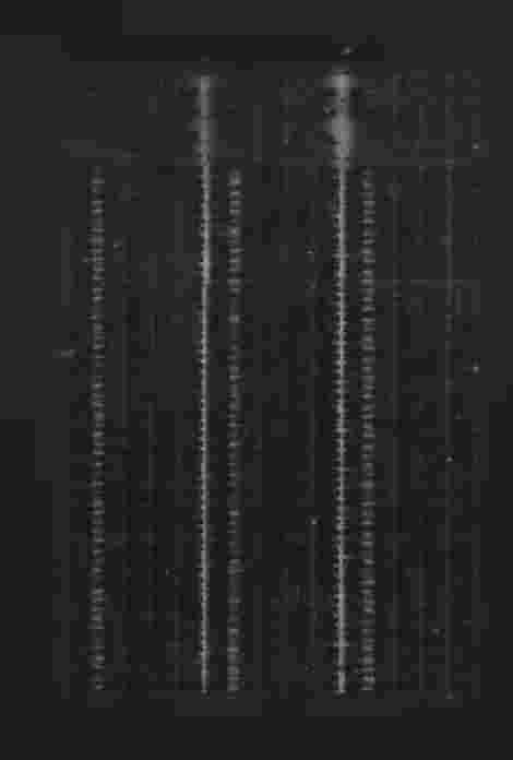 24 Kungl.