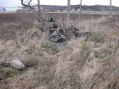 Naturvärdesbedömning: De igenväxande markerna har en högre variation än åkermark med fler nektarbärande blommor, vilket gynnar insekter.