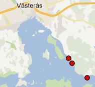 vid eller nära Mälaren bestämda till underart