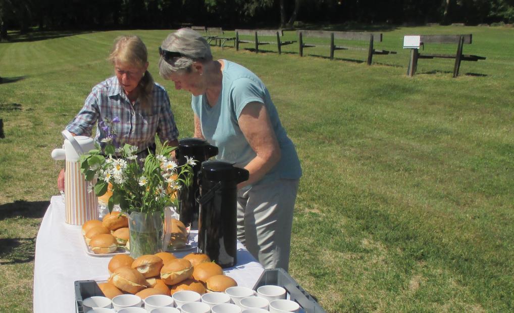 Sjösa oslagbara i sommarvärmen Det har blivit tradition att ett gäng från Paradiset åker ner till Sjösa strax norr om Nyköping en sommardag för att