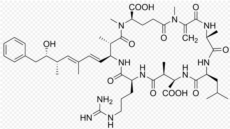 Algtoxinet microcystin Ett levergift Släktet Microcystis Livsmedelsverket Källa: