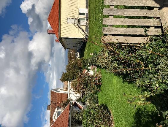 Det finns en höjdskillnad mellan Skarviksvägen och Björkö 1:305, vilken tas upp av en stödmur, se figur 4. 3.