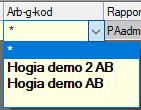 Anger du *, har användaren tillgång alla koncerner. I normalfallet har man bara en koncern.