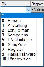 NY ANVÄNDARE Sida 6 Under fliken Personuppgifter finns de olika flikarna i Personregistret. Du väljer de flikarna som användaren ska ha behörighet till.