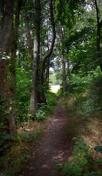 VÅR OMGIVNING Trosa kommun genomsyras av vacker natur i alla riktningar. Här finns lummig skog, insjöar, öppet hav och vackra öar.