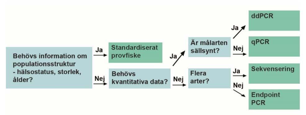 Hur ställer vi rätt frågor?