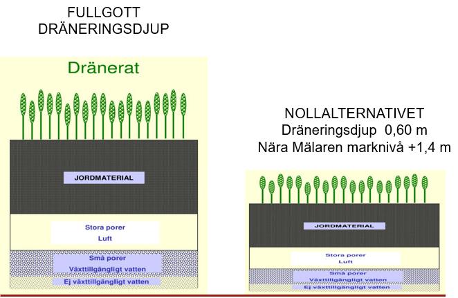 Grundvattennivåns påverkan på åkermark