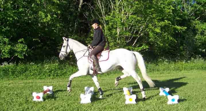Cavalettibommar Sid. 57 Lättviktsbom för cavaletti 1,75m Art.