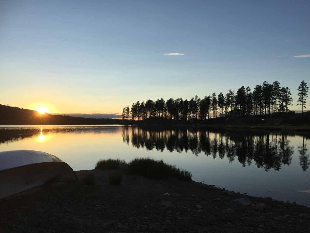 Berith Codner - Torsby Fotoklubb Visning