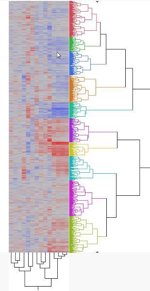 Eng Wide LM-Lantbruk Genomisk selektion Selektion baserat på genotypisk data Inkluderar MÅNGA markörer oavsett påverkan på egenskap Fördelar: