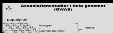 (QTL) is a locus (section of