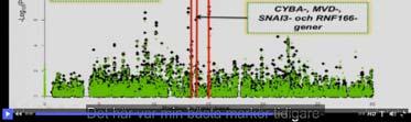identifying which molecular
