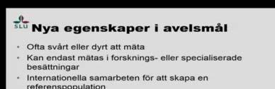 3/28/2019 Diploid engelskt rajgräs DLF och Århus universitet Danmark 2011- Genomet har 2,7 Gb 2,7 miljoner