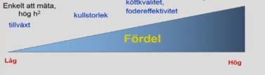 Bladvinkel Förmåga samla solljus Fodervärde Antal levande blad per strå Antal skott/m2 Vernaliseringsbehov