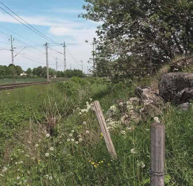 UNDERLAGSRAPPORT NATURVÄRDESINVENTERING Västra stambanan, Göteborg-Skövde Punktinsatser för