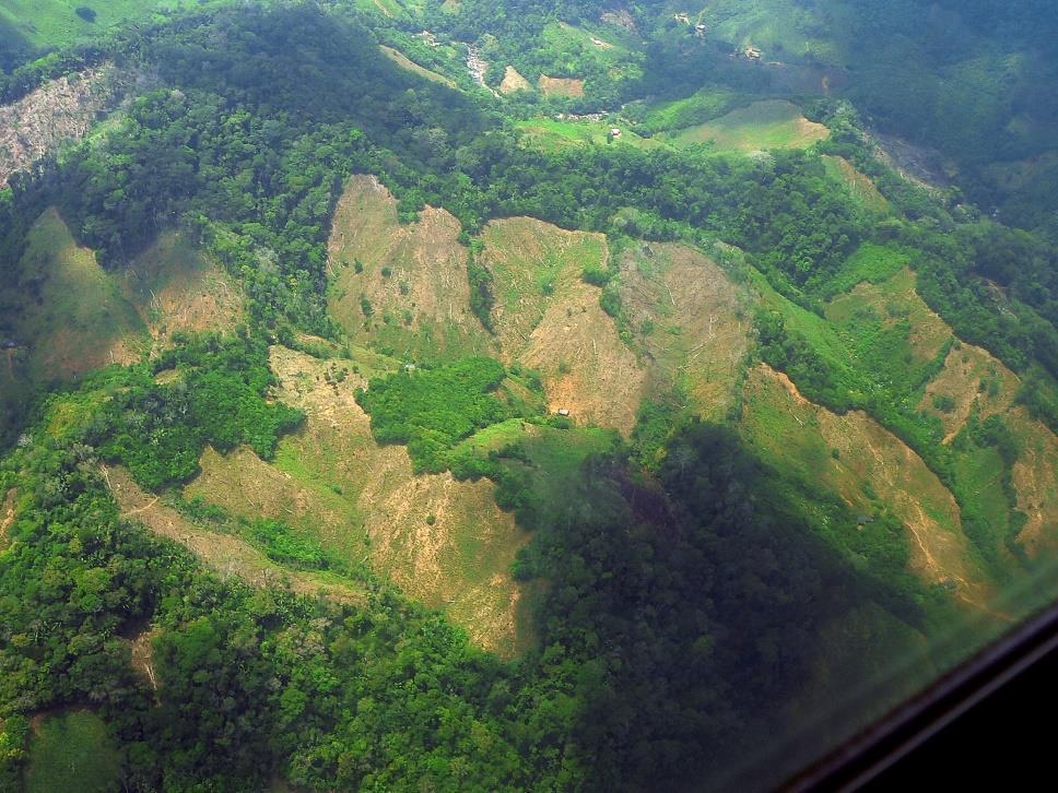 Cocaine and Deforestation Antioquia Bolivia 2.