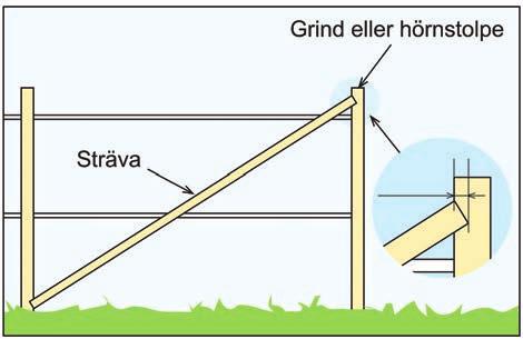 Tråd Förberedelser Planera var stängslet skall sitta, markera var hörn och grind skall placeras. Röj bort vegetation och ev. sly längs stängslets dragning.