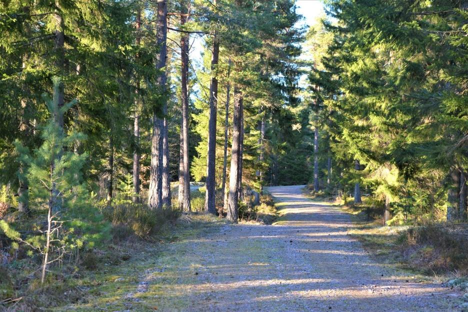 Tag 22:an från Oskarshamn norrut, passera Fårbo. Efter ca 5 km sväng vänster mot Ishult/Vimmerby.