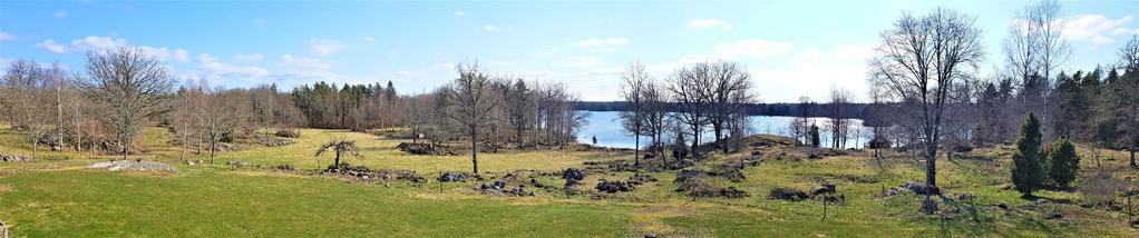 Virkesförråd efter uppräkning ca 16 200 m³sk dominerad av äldre skog av främst tall. På fastigheten finns registrerade sumpskogar i avd.