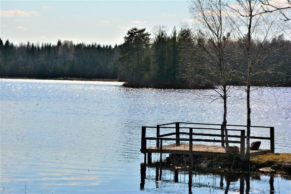 Fastigheten är med i Kristdala Östra Hjort och Älgskötselområde. Fastigheten ingår i Hasselås-Götehults älgjaktslag.