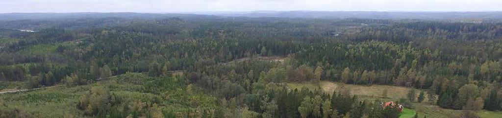 Skogslandskapet mellan ollebygd och orås Figur 11.