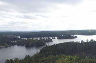 Områdets sydöstra del består av en våtmarksmosaik bestående av mer eller mindre öppna mossar, flera små mosstjärnar, fastmarksholmar, gölar och kärrpartier som alla bidrar till att skapa variation.