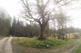 Figur 24. ilder från rutplatålandskapet där det bland annat finns gårdsmiljöer, hagmarker och skogar i en omväxlande topografi.