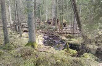 Området gränsar till tätorten och det är närmast orås som det är mest skogsbeklätt. En bit utanför staden öppnas landskapet upp i odlingsmarker.