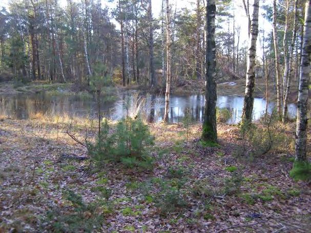 Vissa delar är dock svårtillgängliga, då de består av sanka markområden och kärr. Området sträcker sig från ca +10 m över havet (Vulserödsbäcken) till ca + 40 meter över havet (bergets höjdparti).
