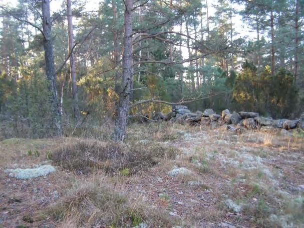 Det södra planområdet består av ett bergsparti som stiger i en relativt flack sluttning mot högsta toppen. Sydväst därom finns ett kärr med vattenspegel och berghäll som en sammanhållen miljö.