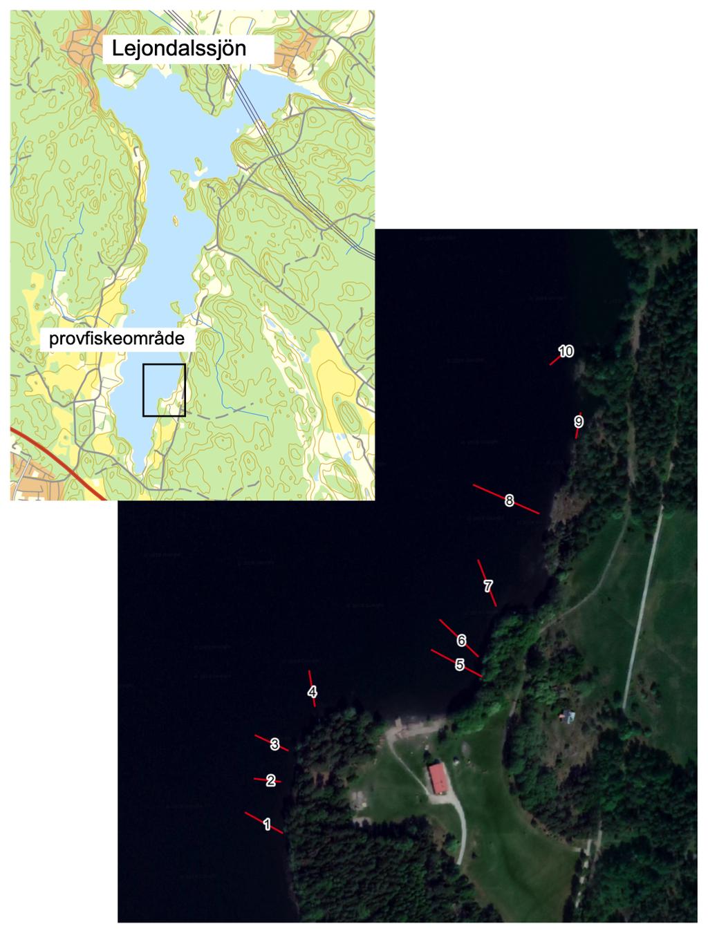 ! Figur 1. Provfiskeområde i Lejondalssjön 2018 och de olika provfiskelinornas lägen inom provfiskelokalen.