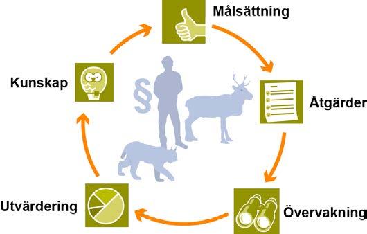 Nationell förvaltningsplan för lodjur Förvaltningsperioden 2014 2019 vara så precist att det i detalj kan förutse hur detta dynamiska och komplexa system kommer att utvecklas.