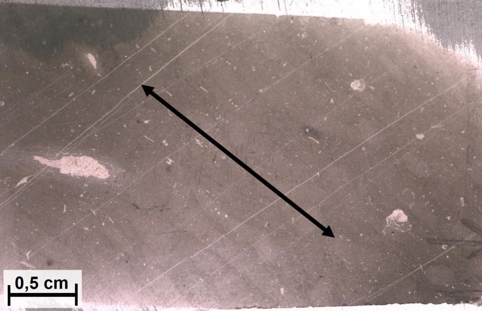 Backscatter Electron Imaging (BSE) används då instrumentet detekterar de elektroner som sänds ut i elektronstrålen, och som sedan reflekteras mot provets yta (Honjo & Berggren, 1967).