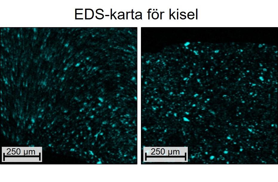 Fig. 13: Vänster: EDS-analys i SEM på 70 vinklat prov. Bilden visar distribution av kisel.
