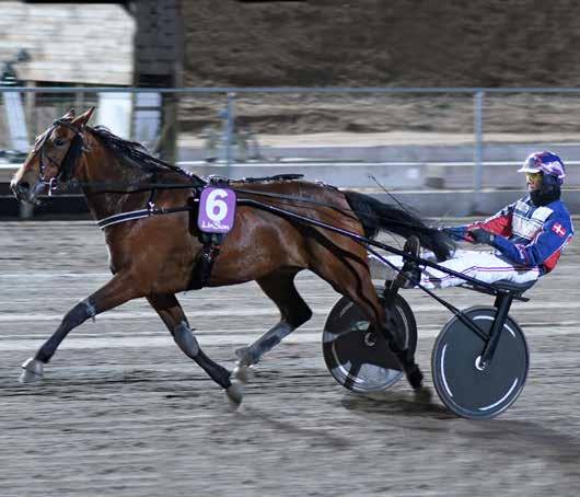HalmstaTravet Månag april Första start kl 8. Pris kr (inkl.