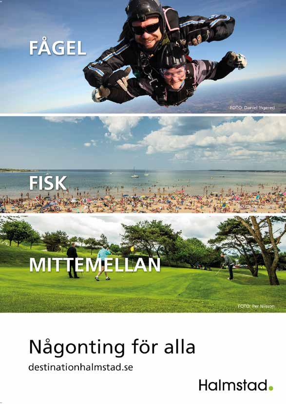 VINNARE PLATS HALMSTAD // 8 Fyraåringslopp M VOLTSTART -åriga. -. kr. m. Tillägg m vi vunna. kr Pris:.-.-.-.-.-(.)-(.) kr. START 9. Heerspris till segrane hästs ägare.
