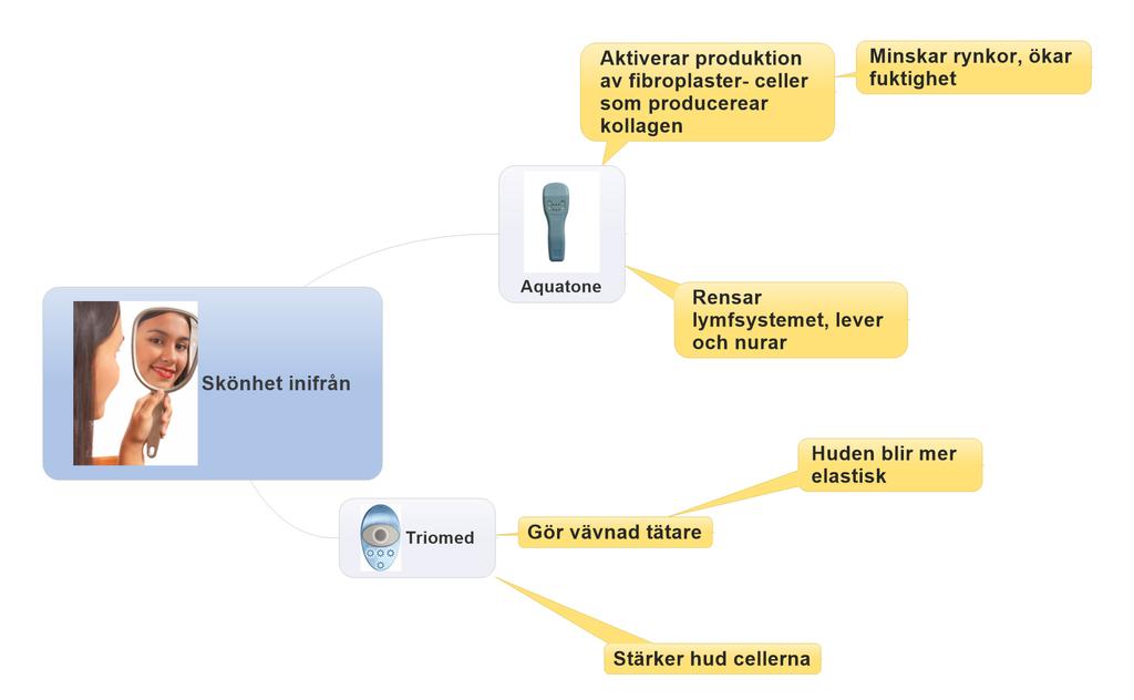 Fibroplasterna ger huden vigör och elasticitet och hyalonsyran bevarar hudens fuktighet.