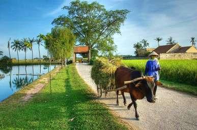 Härifrån tar ni sedan en promenad till Ngoc Ha, som är som en by mitt i denna miljonstad. Här lever människorna som på landsbygden fast de är omgivna av höghus.