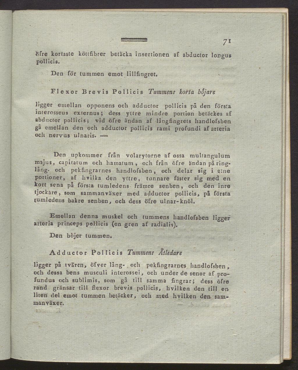 fjfre kortaste pollicis.