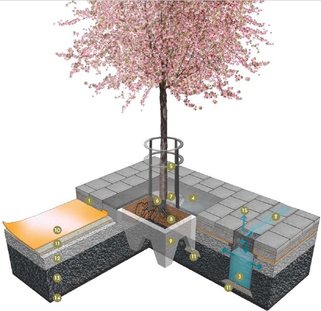 Växtbädd med kolmakadam 1. Beläggning med överbyggnad 2. Dagvattenränna 3. Luftningsbrunn för infiltration av dagvatten och gasutbyte av syre och koldioxid 4. Markgaller 5. Stamskydd 6.
