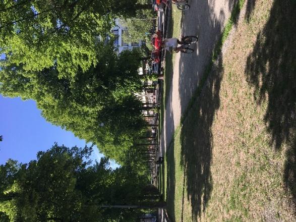 Referensprojekt 1. Växtbädd med kolmakadam vid Valhallavägen Valhallavägen i Stockholm har ett mittstråk med trädallé, parkering, gräsytor och gång- och cykelväg.