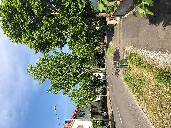 Referensprojekt 2. Växtbädd med kolmakadam på Västerled 2015-2016 anlades nya växtbäddar på Västerled i Bromma i Stockholm.