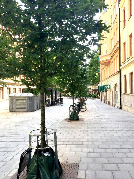 Referensprojekt 3. Växtbädd med Kolmakadam på Nybrogatan För att ta hand om dagvatten från gång- och cykelbana anlades 2015 en växtbädd med kolmakadam på Nybrogatan i Stockholm.