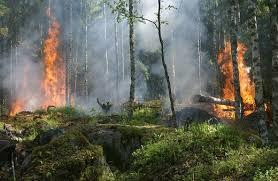 Låt oss i höst trappa upp närvaron! Torsdag den 22 augusti Logemöte, sommarsammanträde. Studiebesök tillsammans med Rebecklogen nr 11 Ingrid Brödramåltiden: Ej fastställt.