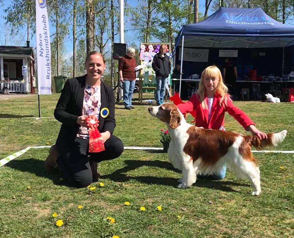 Barn med hund 7-13 år Domare Jenny Öhquist Alma Carlsson 12 år med Harry Barn med hund 13-17 år Domare