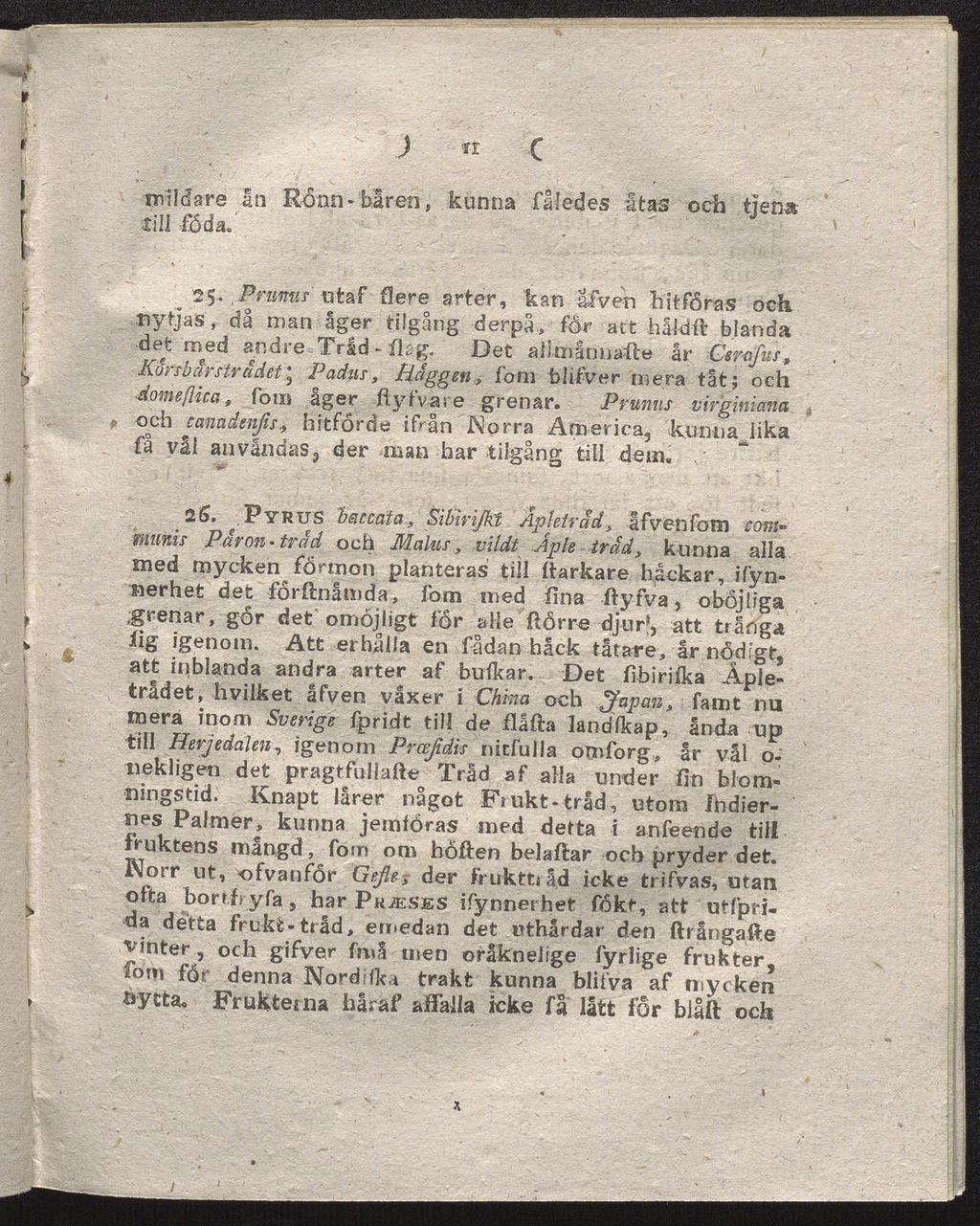 ) " c mildare ån Rönn-båren, kunna fåledes åtas och tjena till föda. ; 25.