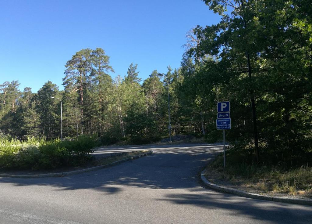 Figur 3 Delområde 1 vy norrut från