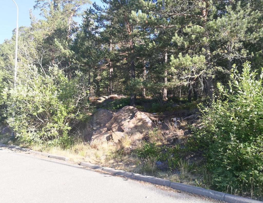 Delområde 1 vy norrut från parkeringen.