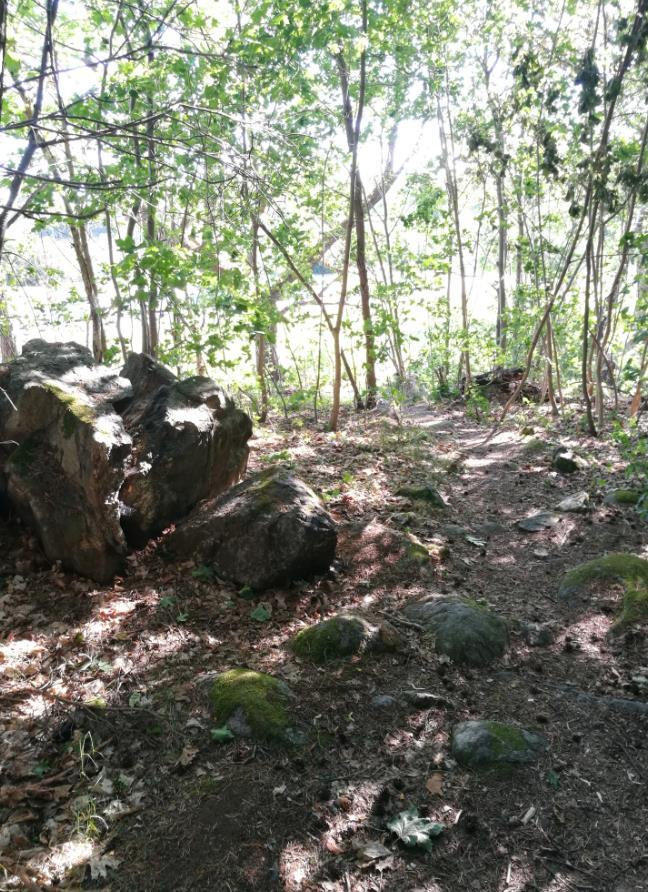 Figur 5 Delområde 3A