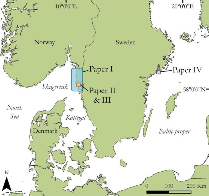 Figure 2 Location of the study sites and associated papers in the Skagerrak and the Baltic Sea, Sweden Atlantic cod The Atlantic cod is one of the most important predatory fish found in the region.
